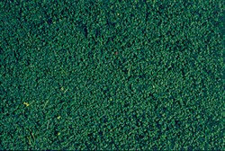 1613 Флок ХВОЯ мелкий 200мл - фото 15173