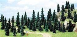 6497 Ели деревья 60-110мм (50шт.) - фото 5337