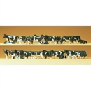 14408 Коровы черно-белые (30) 