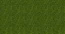 07114 Трава высокая майская h=12мм (40г)